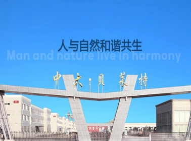 招聘简章