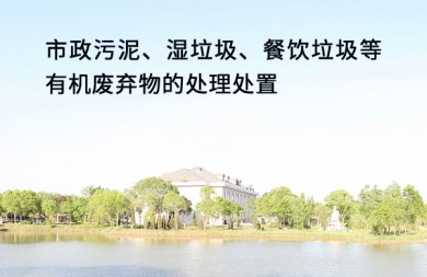 市政污泥、湿垃圾、餐饮垃圾等有机废弃物的处理处置
