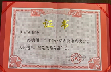 常务副会长证书