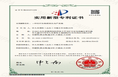 专利证书：一种秸秆生物质炭化生产系统